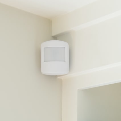 Corpus Christi motion sensor